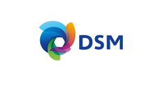 BlueConic partner for DSM