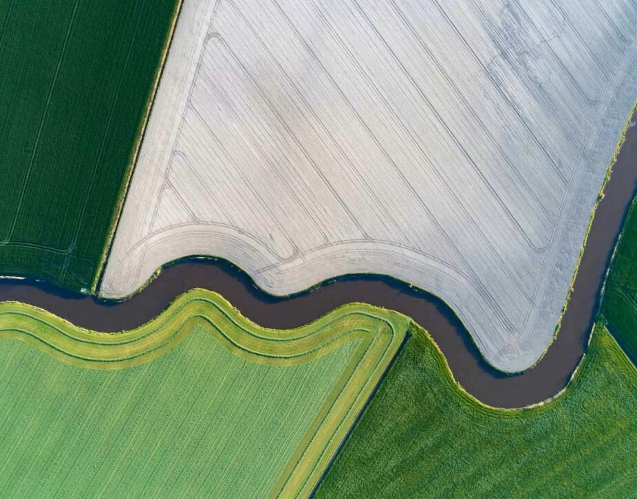 SP-agriculture
