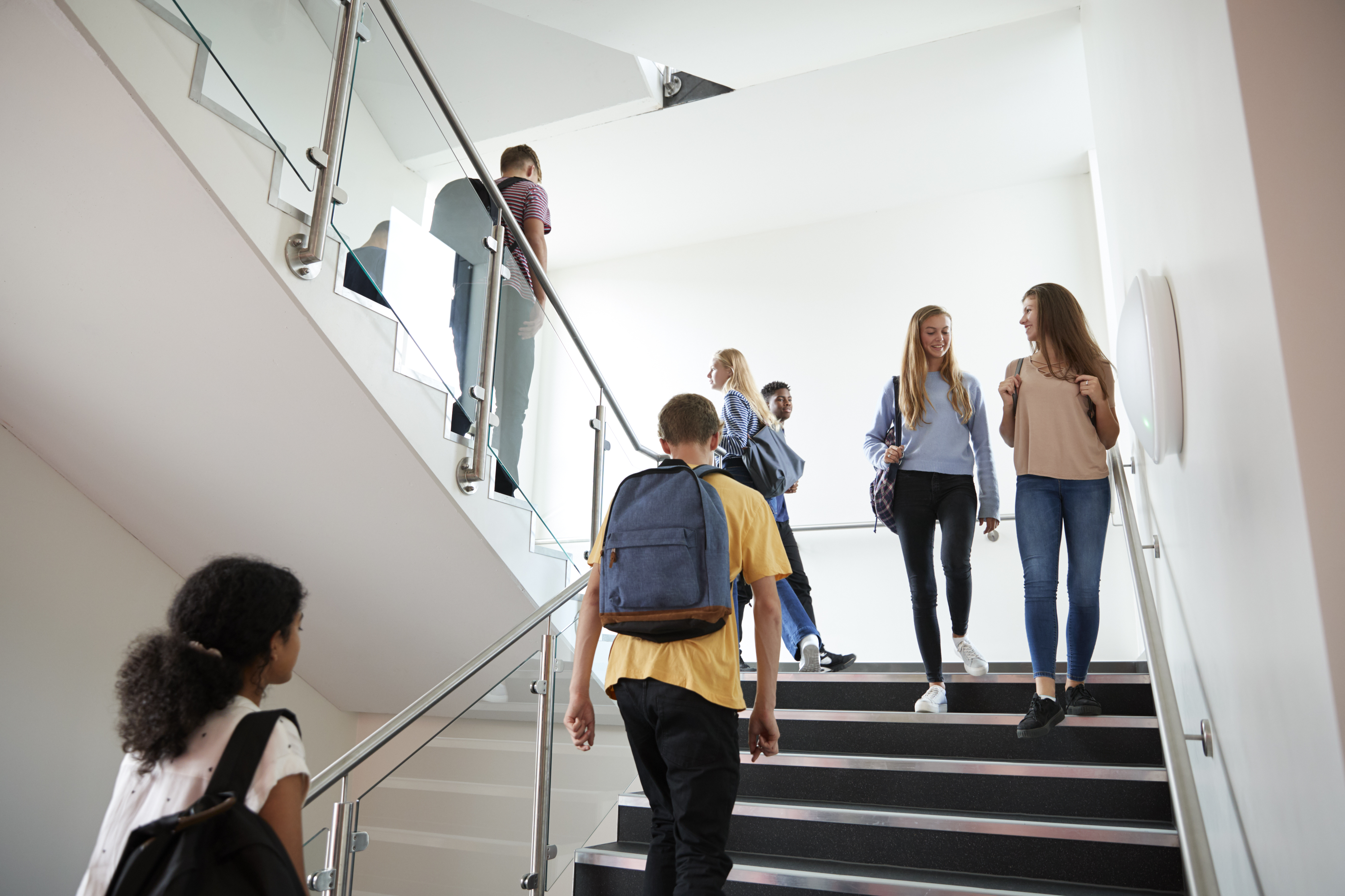 What are the needs of continuing education students?